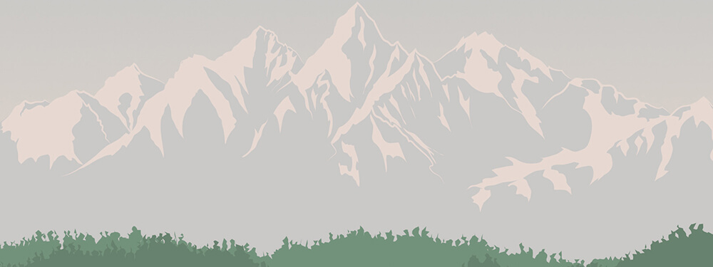 User Background